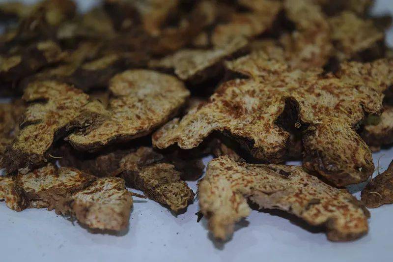 苍术单独泡茶可以吗?揭秘这款草本茶的神奇功效插图2 苍术单独泡茶可以吗?揭秘这款草本茶的神奇功效插图2