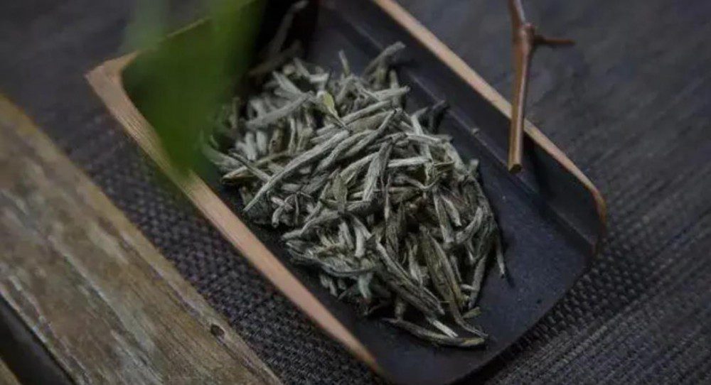 如何轻松冲泡白毫银针饼茶：一份详细的指南插图1