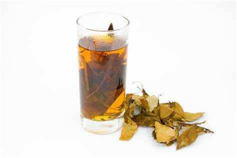 Illustration 1 of the effects and benefits of begonias in tea