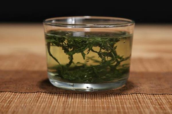 Can Wormwood Make Tea? Learn about the amazing benefits of this ancient herb Illustration 2 Can Wormwood Make Tea? Learn about the amazing benefits of this ancient herb Illustration 2