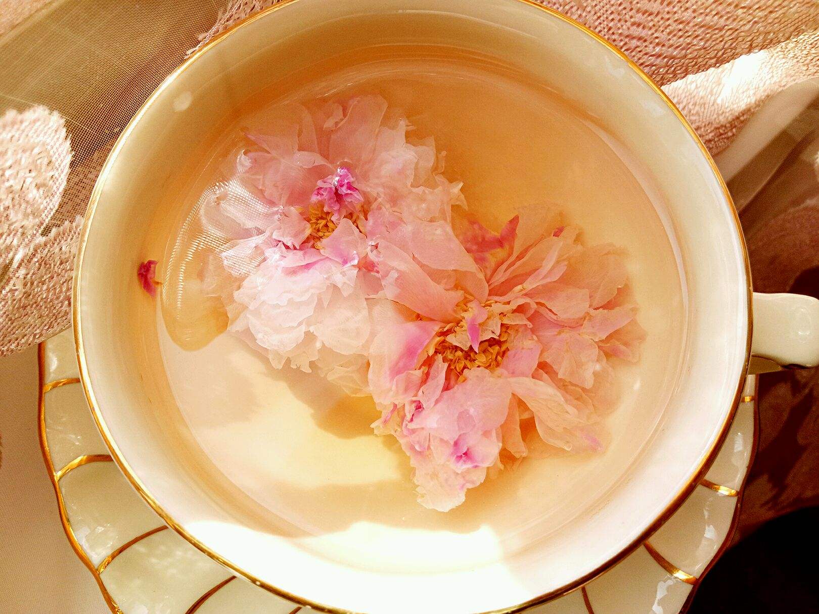 How to make a perfect cup of rose tea? Illustration 4