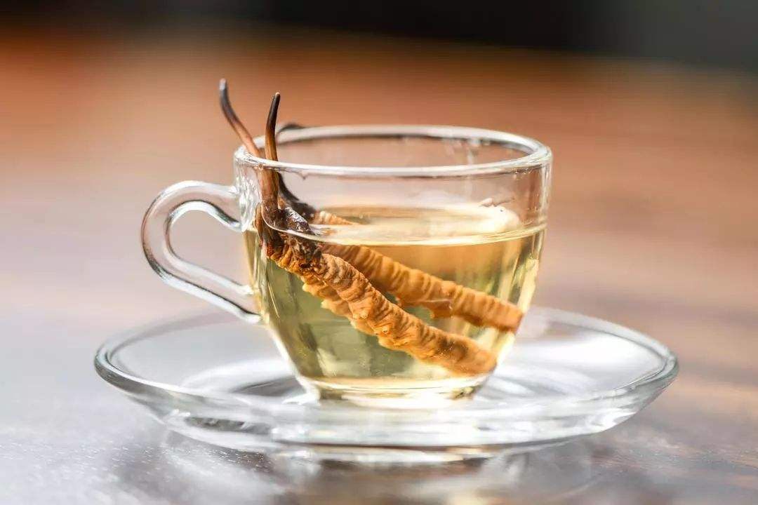 Cordyceps sinensis tea brewing method and efficacy detailed illustration 1