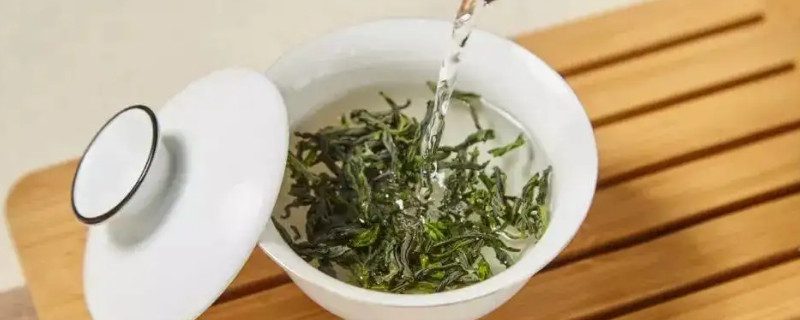 冲泡绿茶时茶叶的用量比例，让每一杯都清香四溢插图3