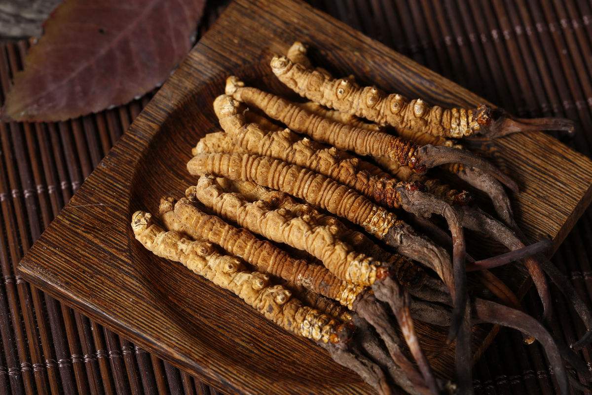 Cordyceps sinensis tea brewing method and efficacy detailed illustration 2