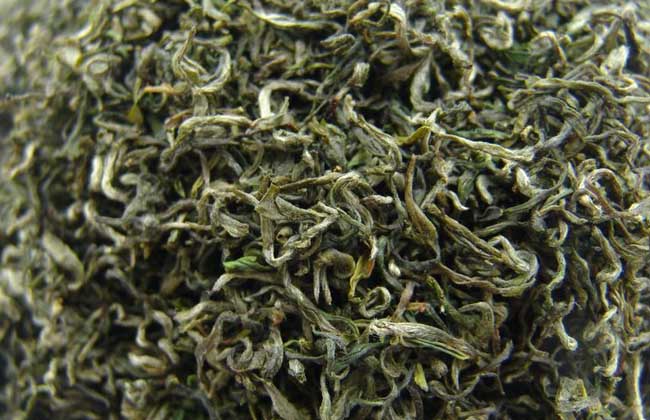 How to brew Biluochun tea, savor the greenness of spring Illustration 2