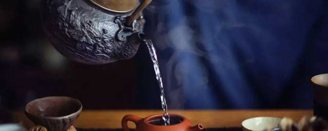 如何掌握茶叶冲泡的艺术，从零开始的培训指南插图1