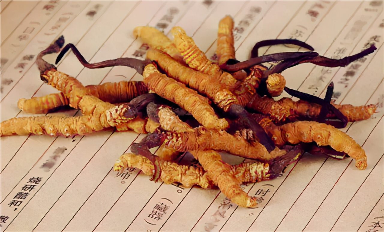 Cordyceps sinensis tea brewing method and efficacy detailed illustration 3